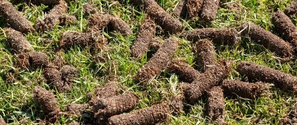 Core / Mechanical Aeration