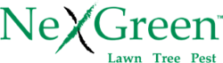 nexgreen logo-Nov-20-2024-05-16-22-5761-PM
